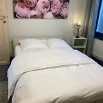 Appartement D'avalon 5